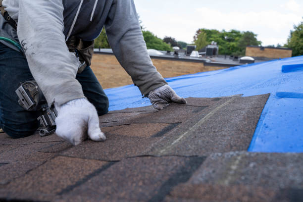 Best Roof Gutter Cleaning  in Flandreau, SD