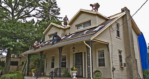 Best Flat Roof Repair Services  in Flandreau, SD