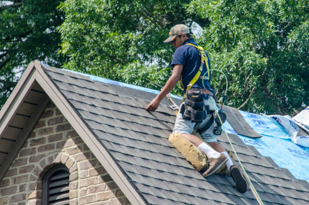 Best Roof Gutter Cleaning  in Flandreau, SD
